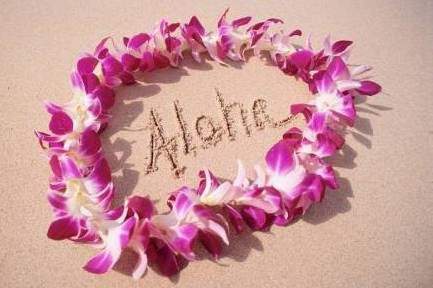 aloha